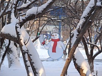 Опрос: каждый третий россиянин планирует путешествие в новогодние каникулы, каждый четвертый - есть и спать