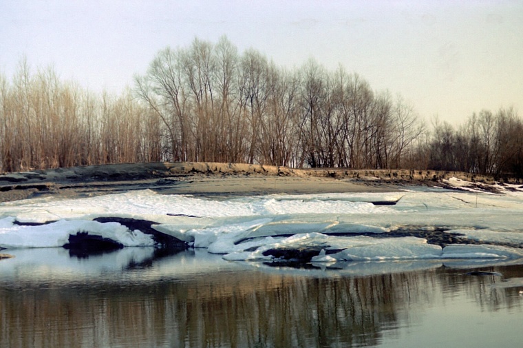 Народные приметы на 10 апреля: время выворачивать оглобли