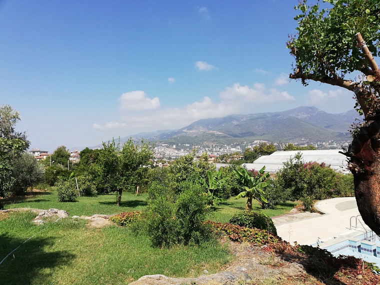 В Тюменской области должник оплатил 470 тысяч рублей, чтобы переехать жить в Турцию