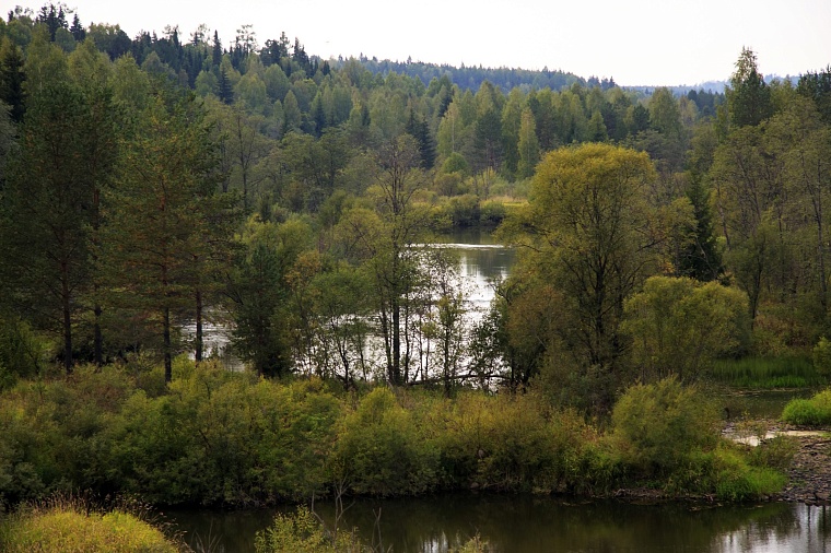 Барсучья Грива и 12 Ивановок: геодезические точки Омской области живут в названиях