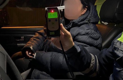 В Тюменской области за день отстранили от вождения 15 пьяных водителей, в том числе женщину