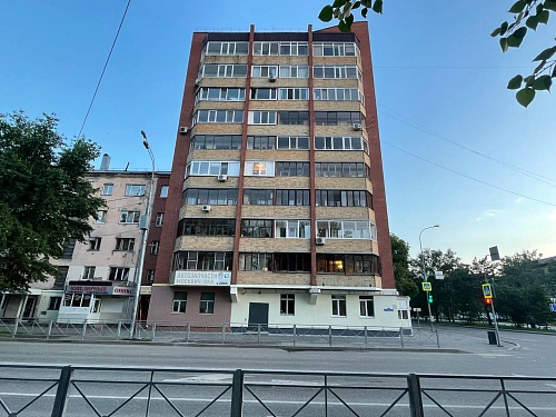 Задыхаются от запаха мочи: в Тюмени скандально известную заводчицу вновь обвиняют в устройстве «концлагеря» для кошек