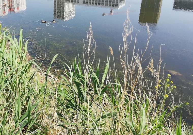 В районе Винзили во время купания утонул мужчина