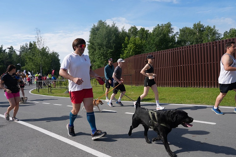 Глава Тюмени Максим Афанасьев опубликовал фото с любимым псом Тобиком