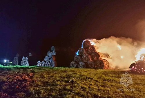 В Голышмановском округе из-за грозы уничтожено около 500 тюков сена