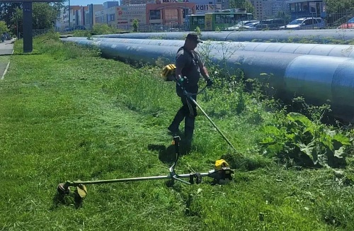 В Тюмени из-за дождей увеличился покос травы