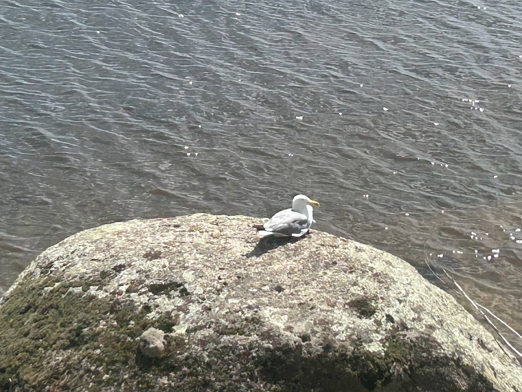 Поездка в Казахстан: низкие цены, дешевый сервис, красивая природа и стремительный банкинг