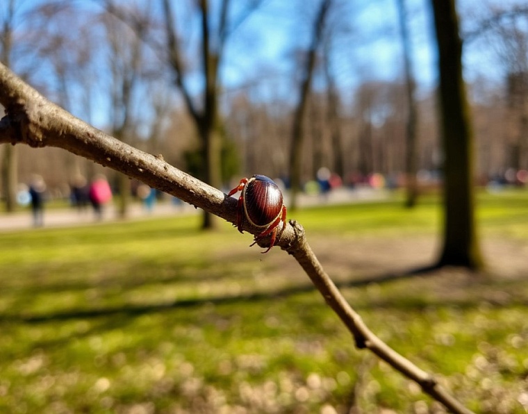В Тюменской области уже 570 человек пострадало от укусов клещей