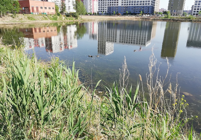 Тюменцы спасли тонущего в Утином пруду подростка