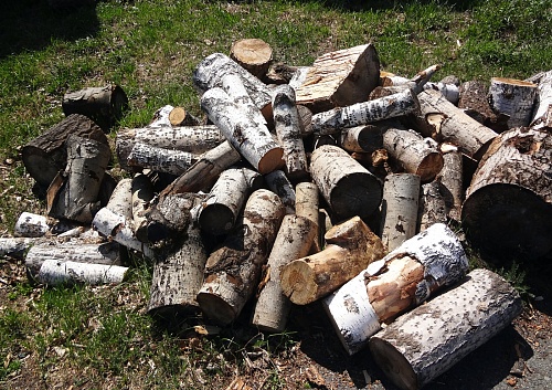 Народные приметы на 22 октября: Яков придет - крупицу пришлет