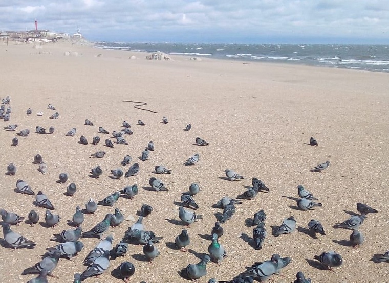 Махачкала-2025: особенности путешествия в месяц Рамадан