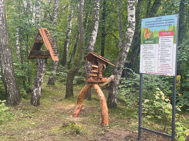 В экопарке Затюменском установили новые домики для белок