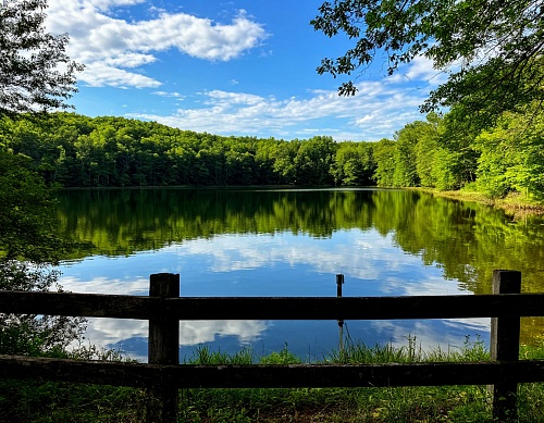 Забор на берегу водоема рано или поздно придется снести
