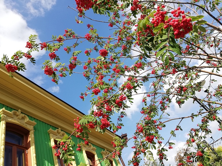 В Тюмени прогнозируют потепление до +25 градусов