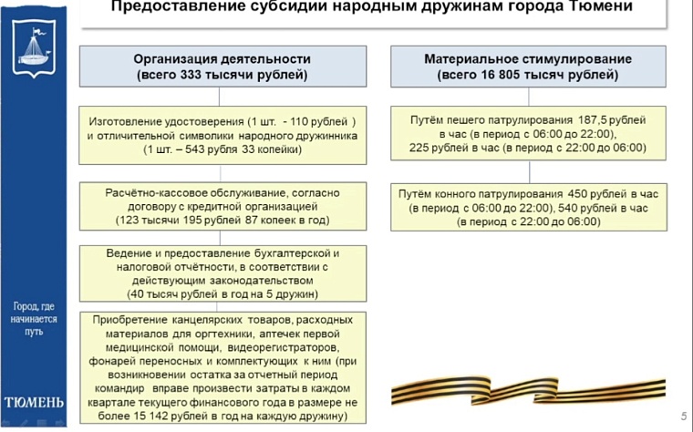 Депутаты гордумы предложили расширить работу дружинников