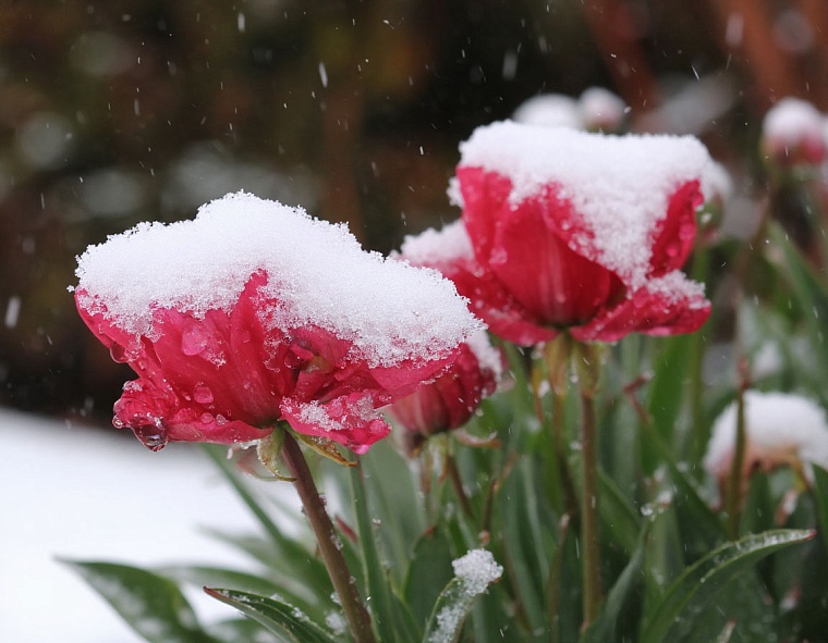 Фото сгенерировано ИИ