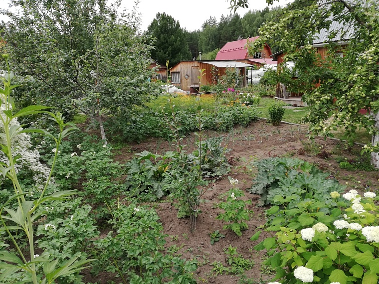 Тюменские агрономы «Россельхозцентра» рассказали, как дачникам снизить содержание нитратов в урожае