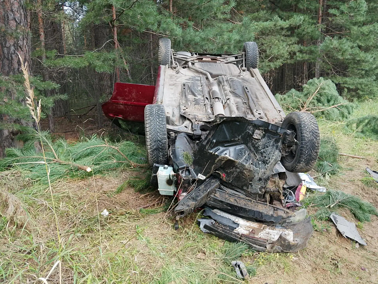 В ДТП на дороге Тюмень - Салаирка - граница Свердловской области погибла 51-летняя автомобилистка