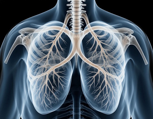 Профосмотр спас жизнь тюменскому водителю: флюорография выявила рак на ранней стадии