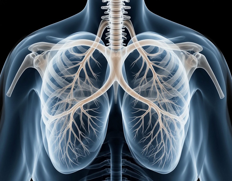Профосмотр спас жизнь тюменскому водителю: флюорография выявила рак на ранней стадии