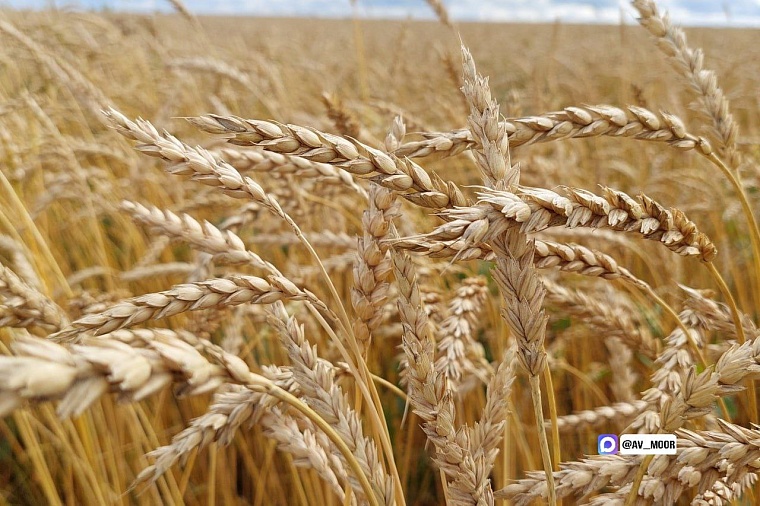 Александр Моор: Этот год стал рекордным для всей области