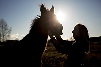 Адаптироваться к самостоятельной жизни особенным тюменцам помогают лошади