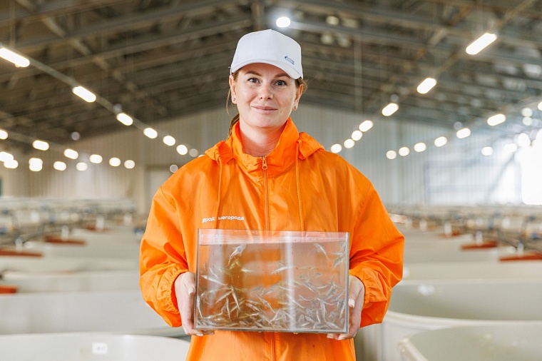 В Иртыш выпустили миллион мальков краснокнижного сибирского осетра