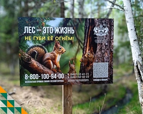 Почти половину лесных пожаров в Тюменской области в этом сезоне спровоцировали грозы