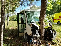 Под Тюменью «Газель» въехала в дерево, водитель погиб