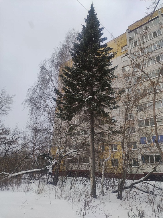 Имя без улицы: почему о сожженном в топке паровоза Сергее Лазо стоит напомнить тюменцам