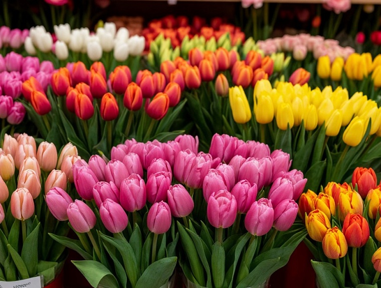 Фото сгенерировано ИИ