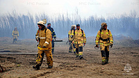 В Тюменской области действует 13 природных пожаров