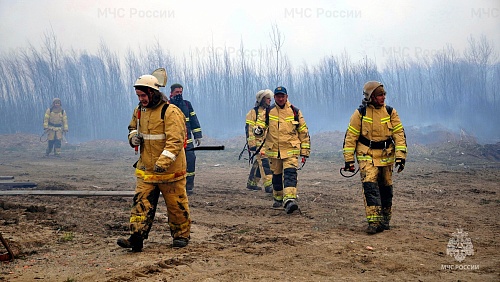 В Тюменской области в 2023 году потушили более 650 природных пожаров