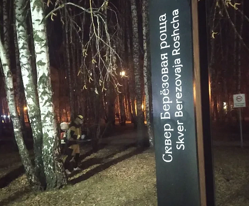 Максим Афанасьев рассказал об акарицидной обработке территорий в Тюмени