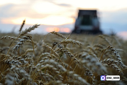 Александр Моор: Аграрии Тюменской области собрали первый миллион тонн зерна