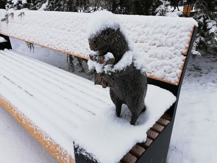 Снег и сосульки: тюменцы могут сообщить о зимних проблемах