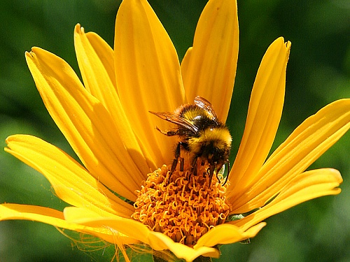 Народные приметы на 28 апреля: южный ветер - к дождю