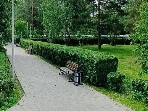 В Тюмени начали подстригать кустарники