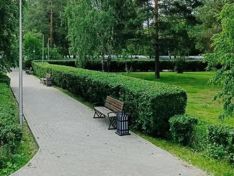 В Тюмени начали подстригать кустарники