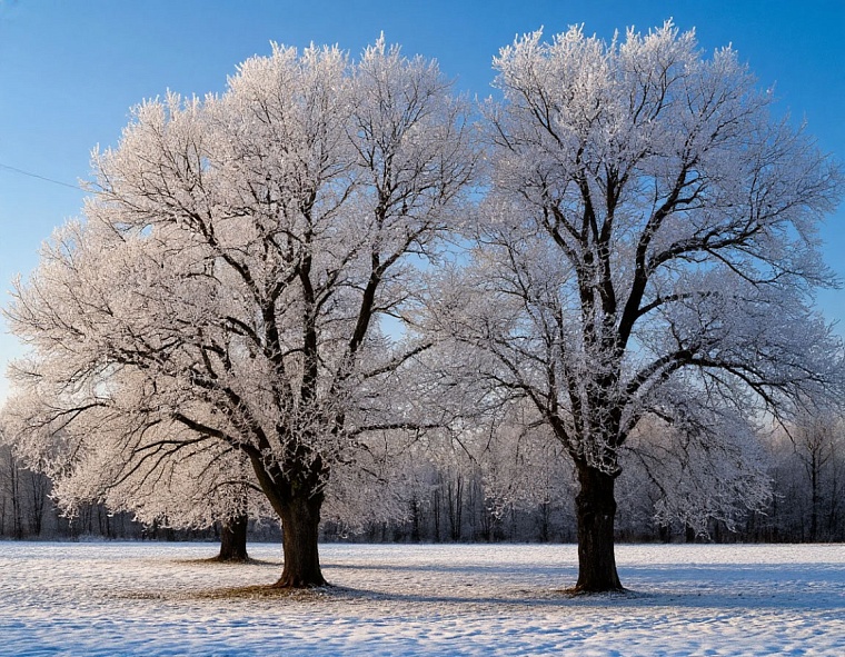 Народные приметы на 29 декабря: Агей-пророк сеет иней на порог