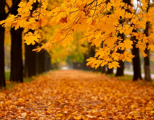 Народные приметы на 23 октября: теплый день - зима придет еще не скоро