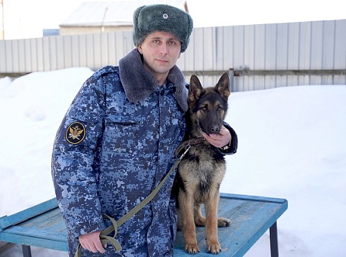 10 щенков немецкой овчарки начнут службу в городах Тюменской области