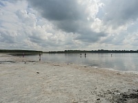 Лежишь на воде! Соленое озеро в Бердюжском районе стало еще соленее