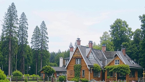 Что можно и чего нельзя делать на даче по новым правилам