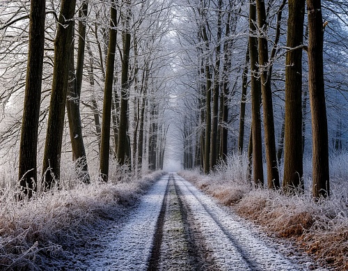 Народные приметы на 14 октября: на Покров до обеда осень, после обеда - зима