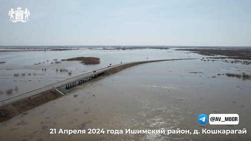 Река Ишим поднялась до 1060 см: последние данные по паводку