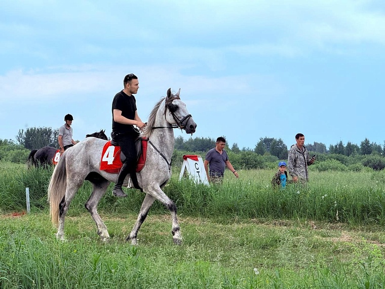 Тоболяки отмечают народный праздник Сабантуй