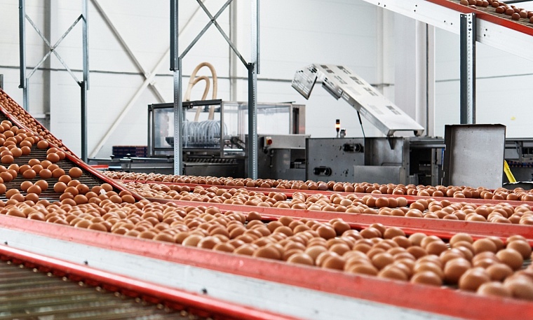 Тюменская область продает птицефабрику «Боровская»