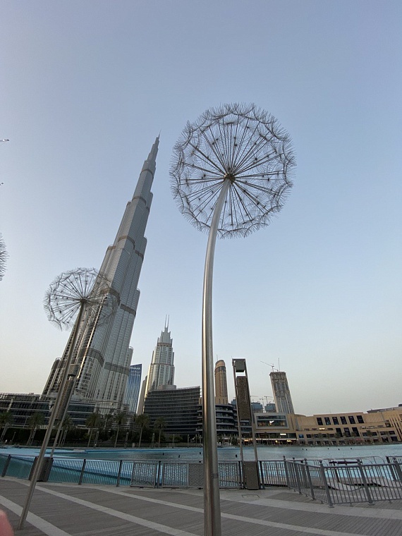 Прямые рейсы: путешествуем за границу из Тюмени