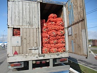 Таможенники предотвратили незаконный ввоз в Тюмень 40 тонн лука из Казахстана